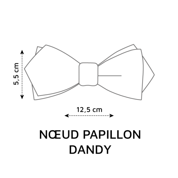 schema-noeud-papillon-dandy-mesures-lecoqenpap