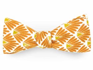  Le Coq en Pap' - Noeud papillon orange pumpkin japonais leafy