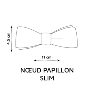 lecoqenpap noeud papillon slim sur mesure