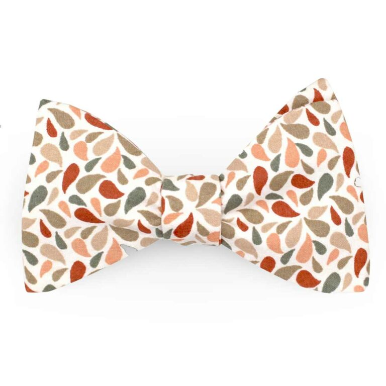 noeud papillon graphique vert sauge terracotta droppy le coq en pap photo