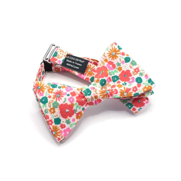 noeud papillon rose rose vert be pop s d le coq en pap photo