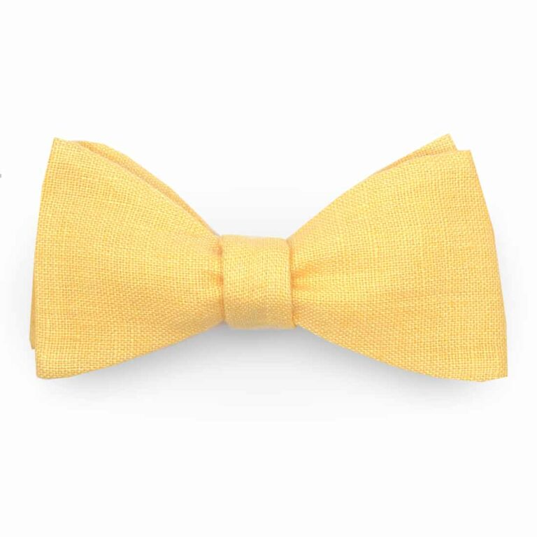 noeud papillon jaune matin uni en lin le coq en pap photo